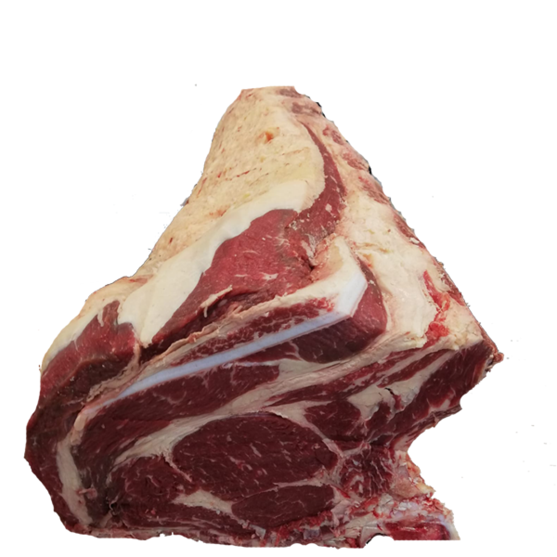 Costata 5 ct di Bovino Adulto nazionale extra marezzato c/o