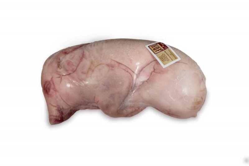 Maialino allevato allo stato brado