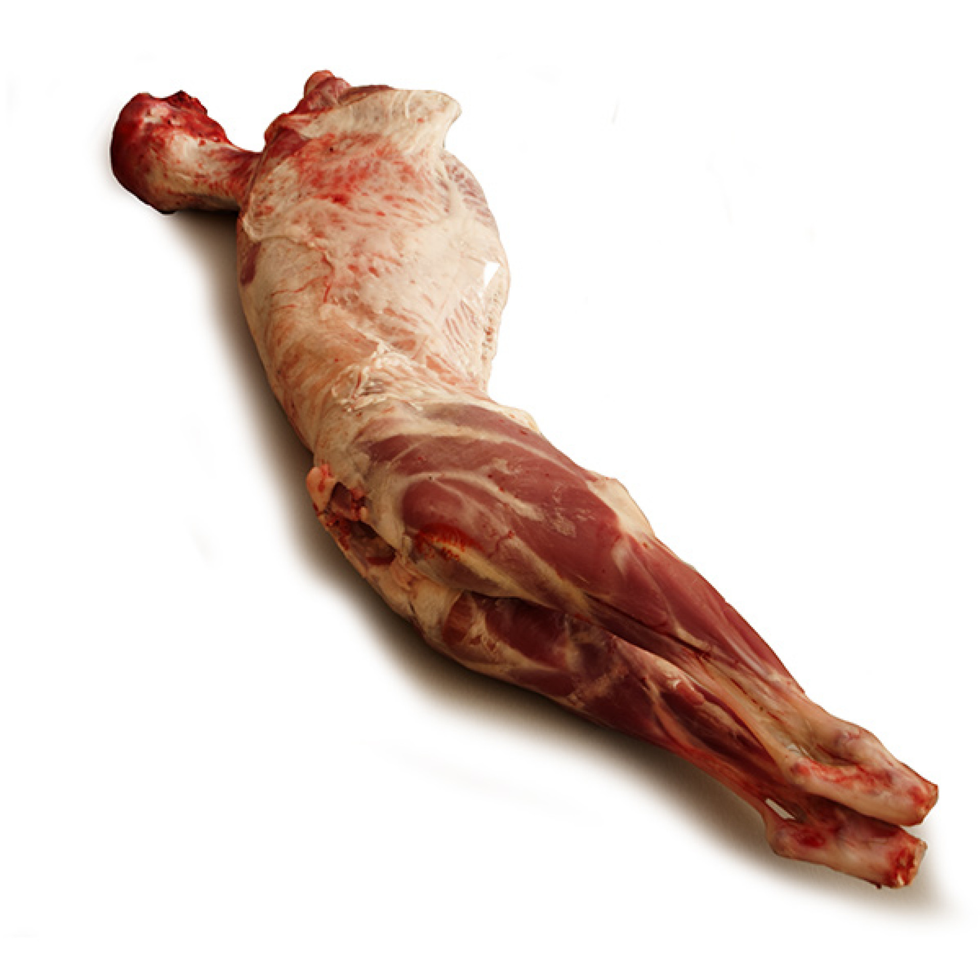 Agnello laziale da latte