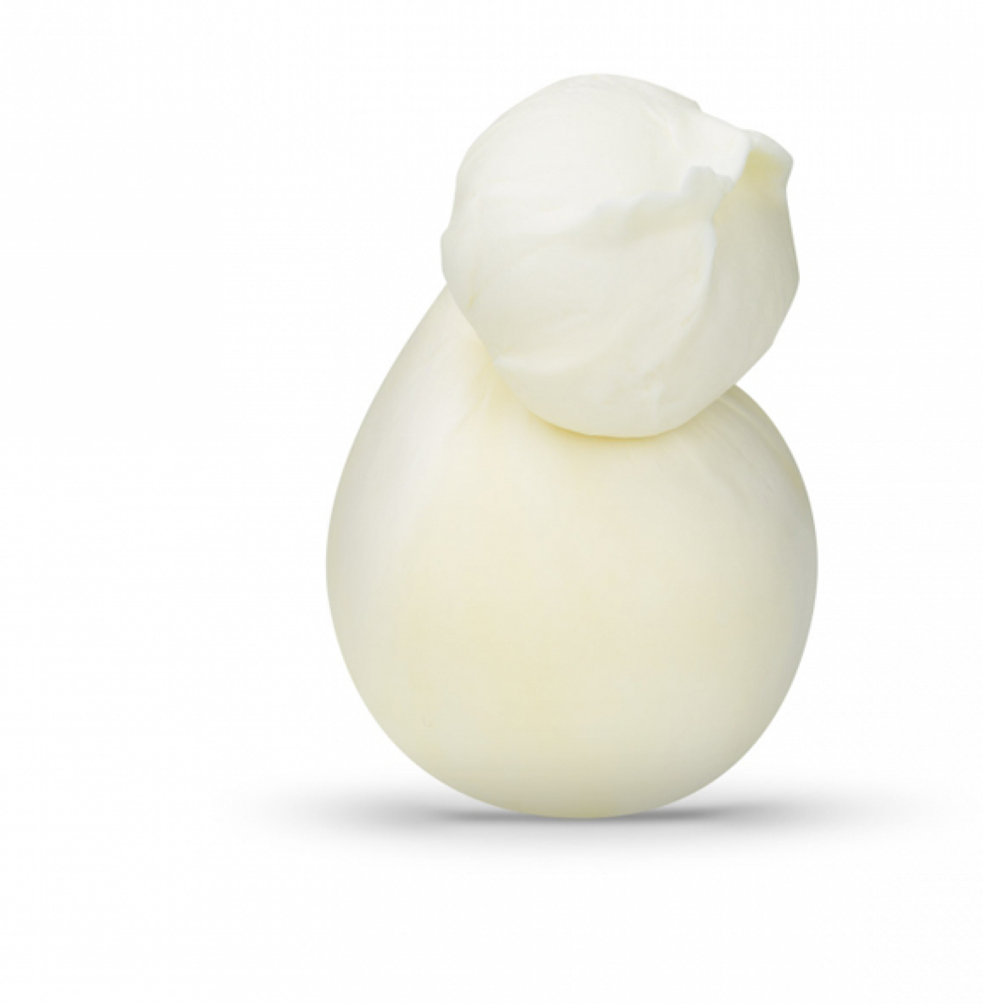 Scamorze bianche Caseificio Andriese