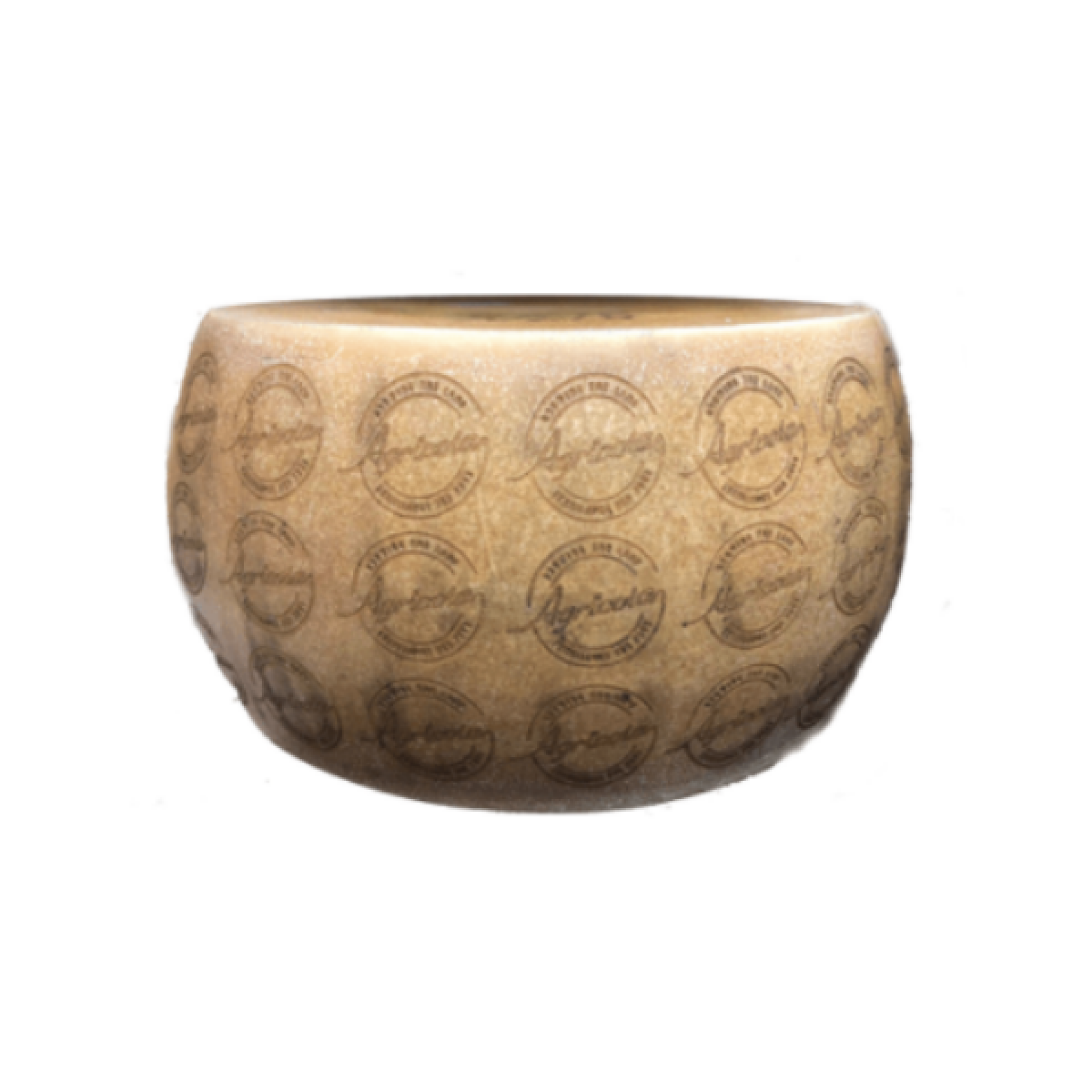 Bruno “Selezione HQF” 14/16 Mesi (forma intera)