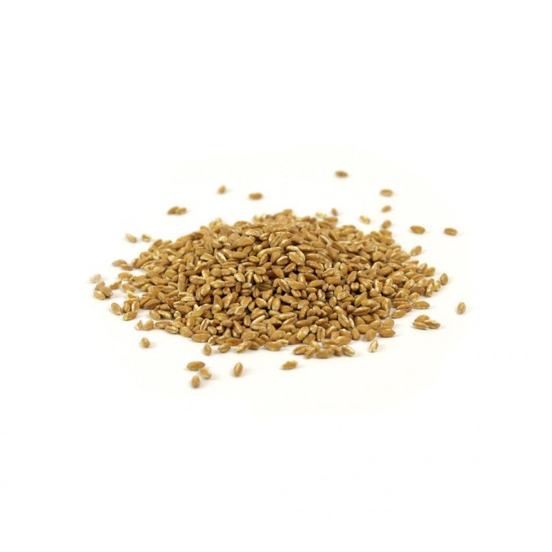 Farro perlato bio