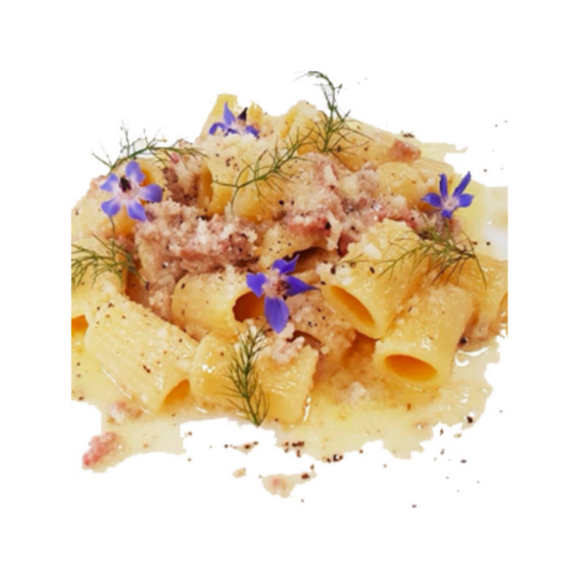 Mezze maniche alla norcina (abbattute)