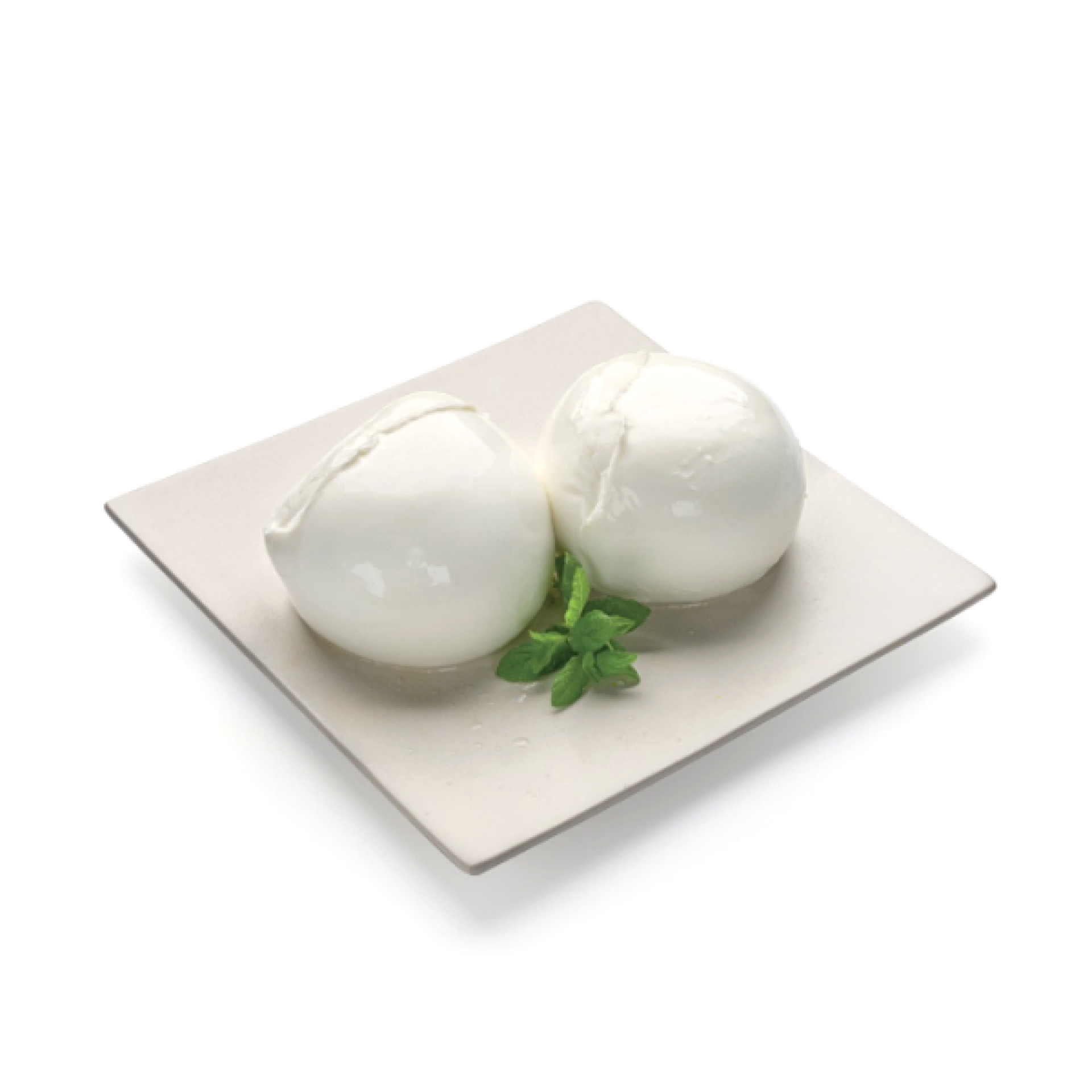 Mozzarella di Bufala Campana DOP "Tenuta Pontoni"
