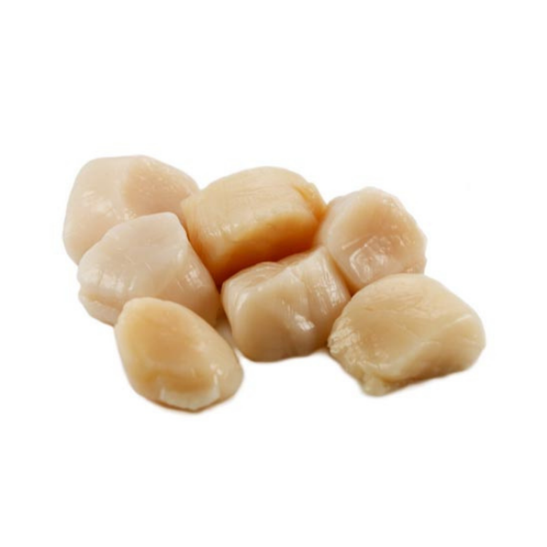 Capesante sgusciate americane