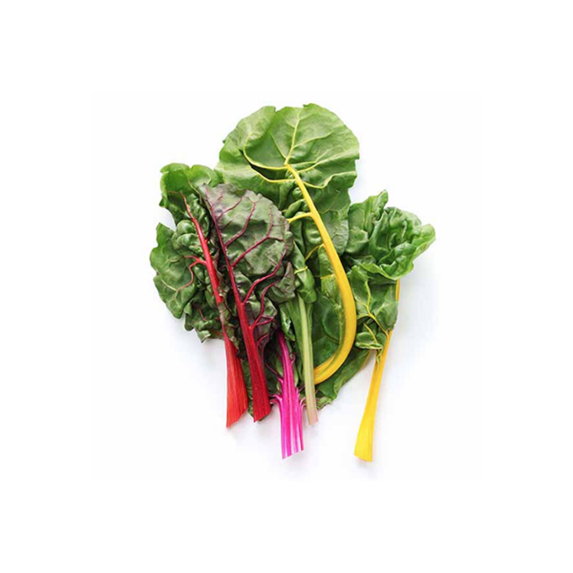 Bieta a coste colorata