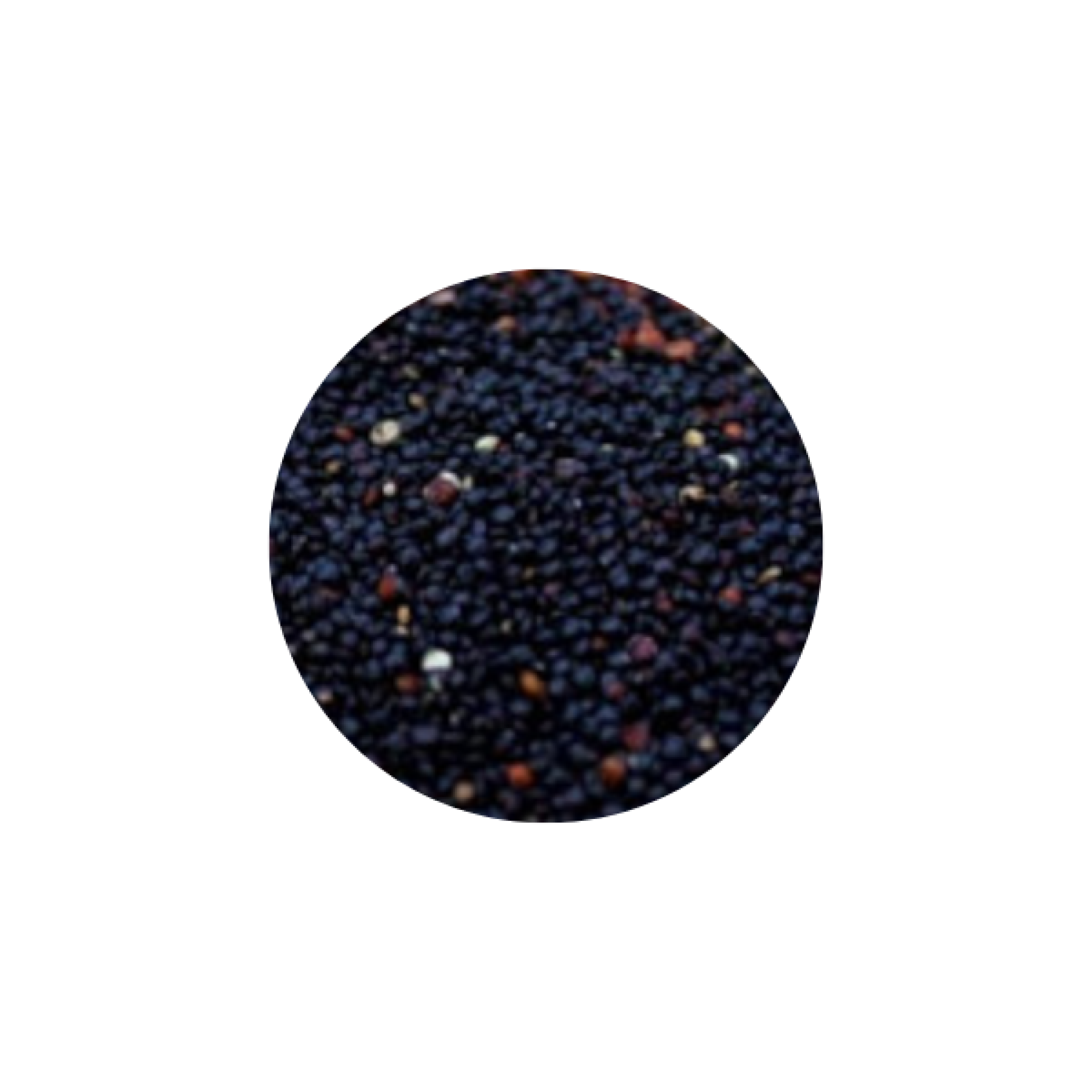 Quinoa nera