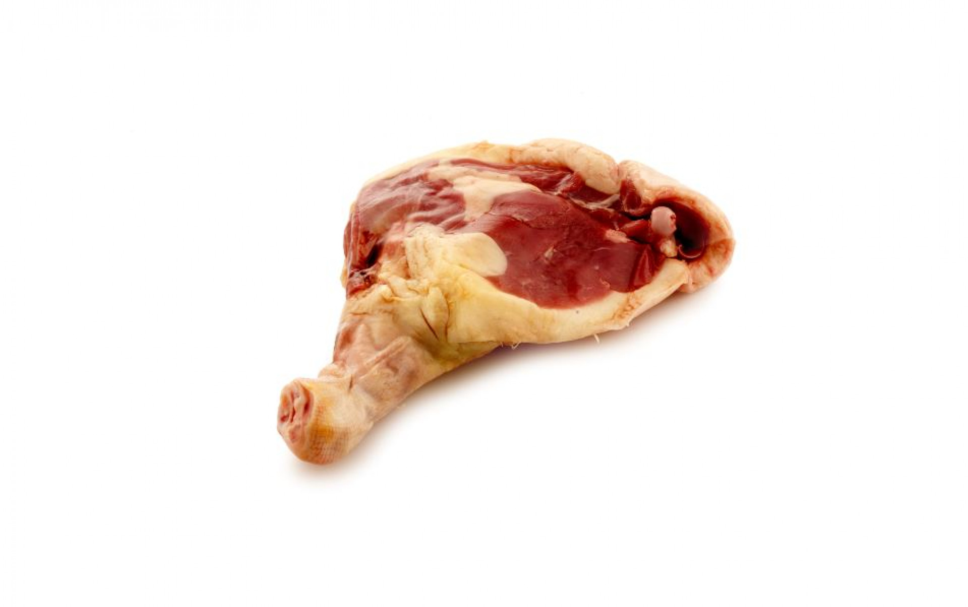 Coscia d'anatra c/o singola g. 380 ca.