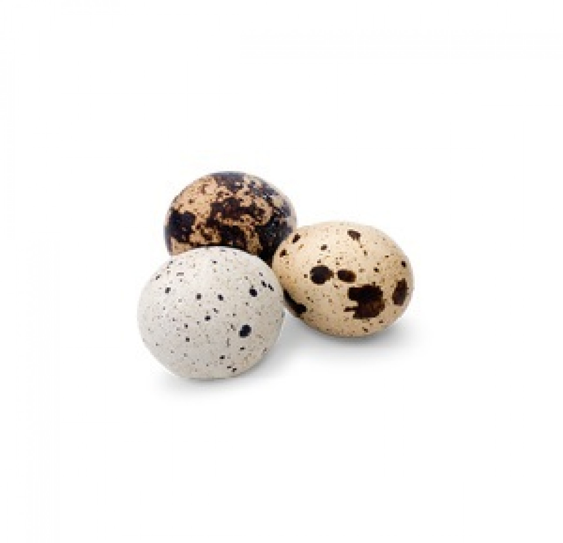 Uova fresche di quaglia