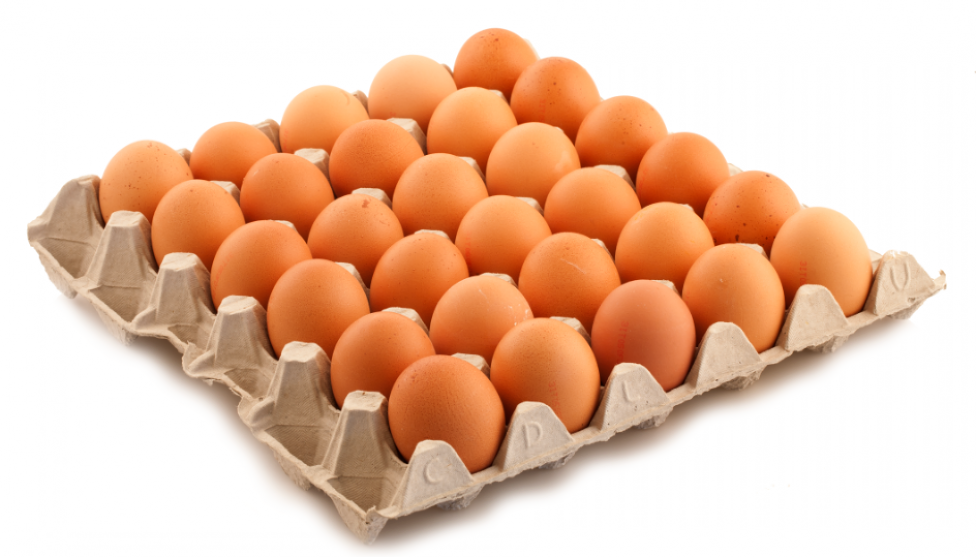 Uova fresche pasta gialla