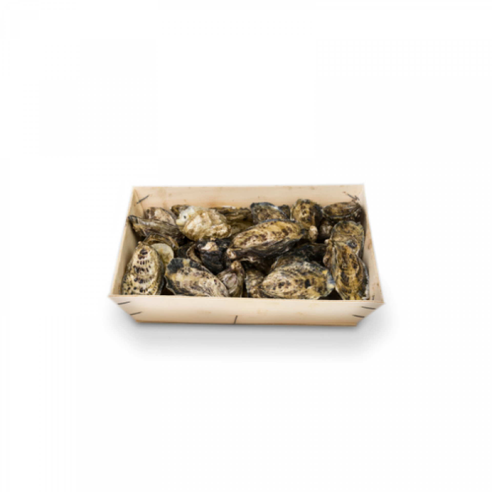 OSTRICA SPECIAL RESERVE DE L’IMPERATRICE CAL. 3 ARCACHON SPECIAL RESERVE