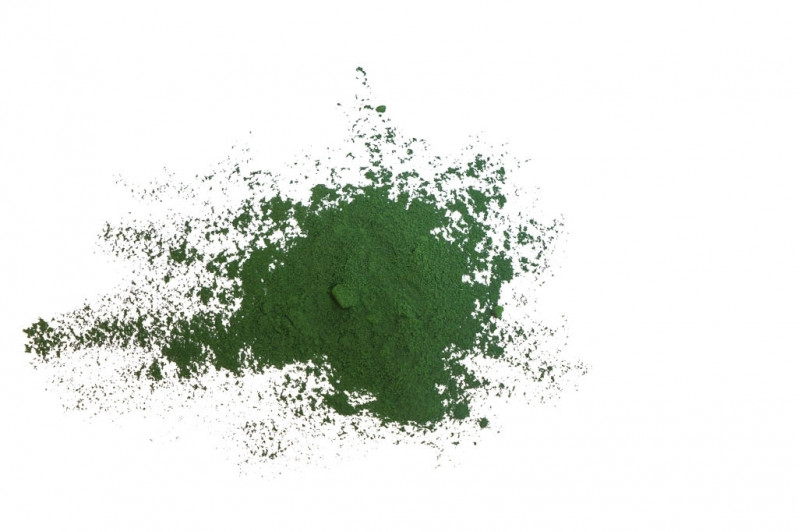 spirulina biologica
