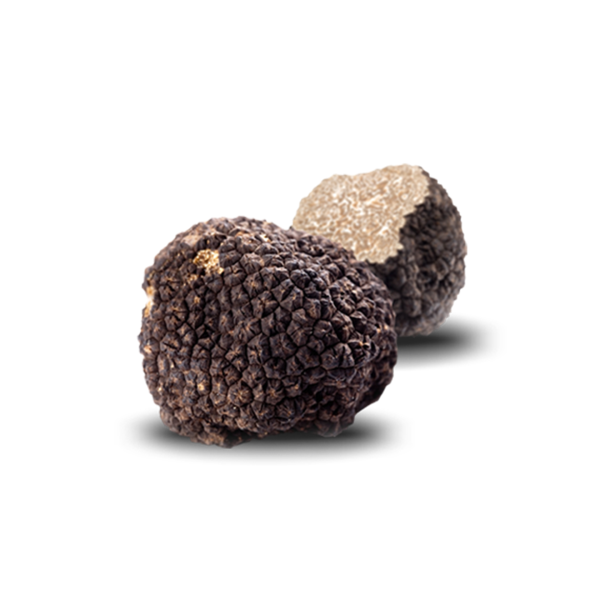 Tartufo nero estivo fresco