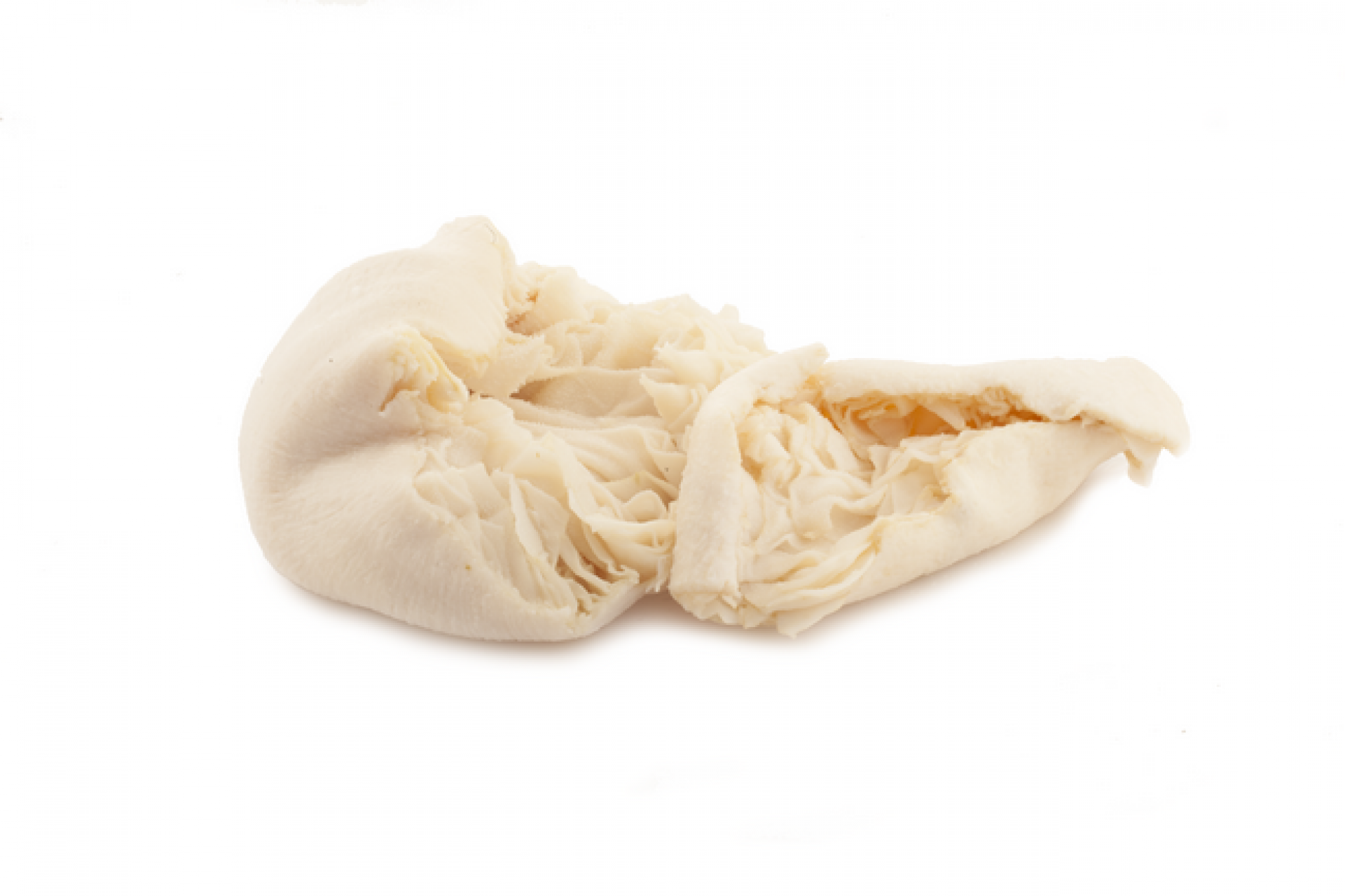 Trippa bovina bianca