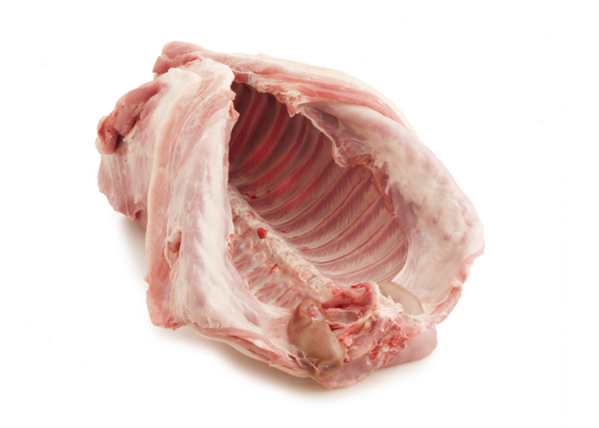 Sella di maialino da latte