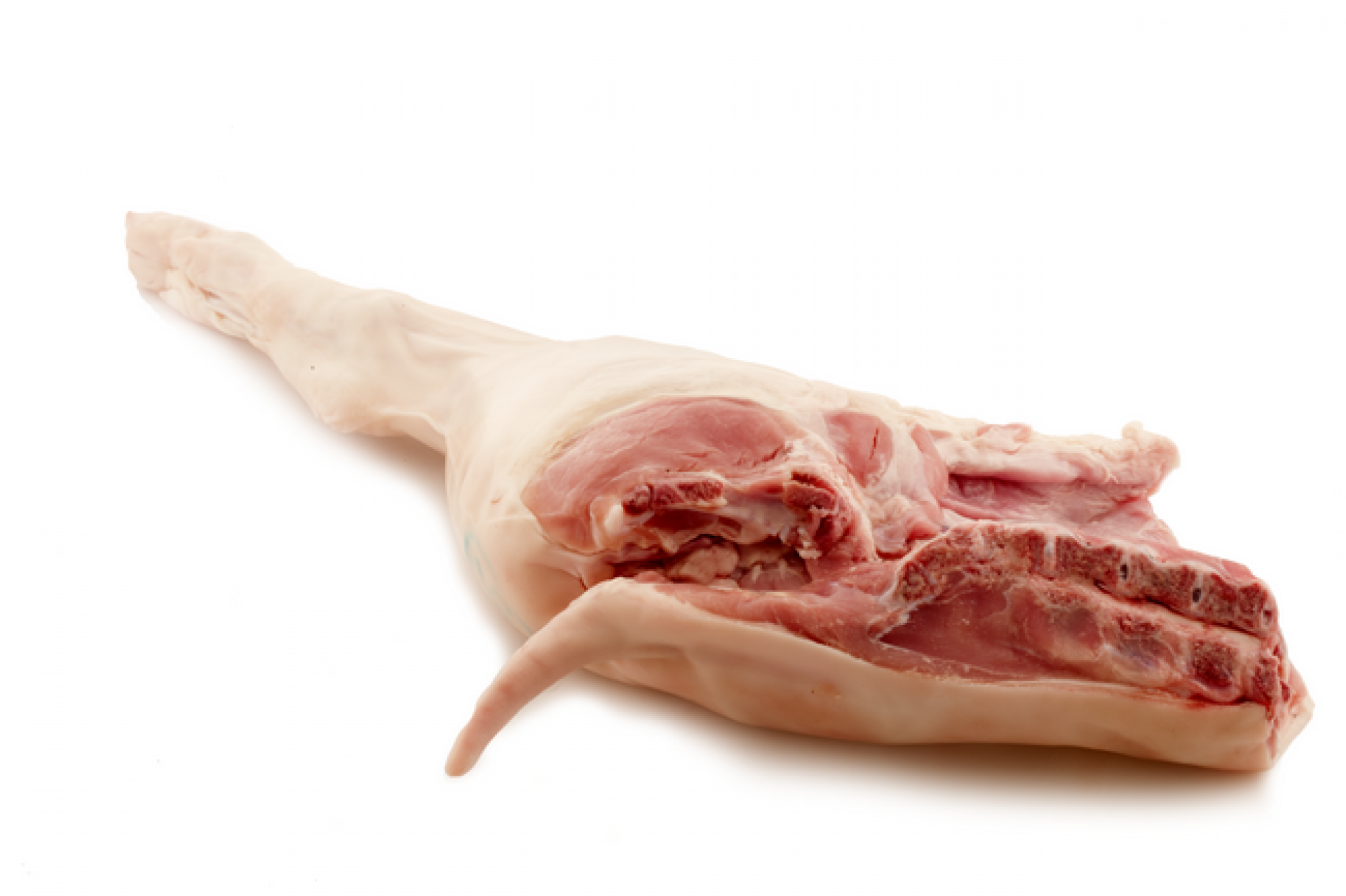Cosciotto di maialino da latte