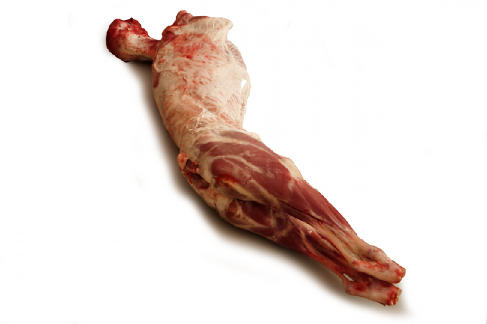 Agnello nazionale Abruzzo