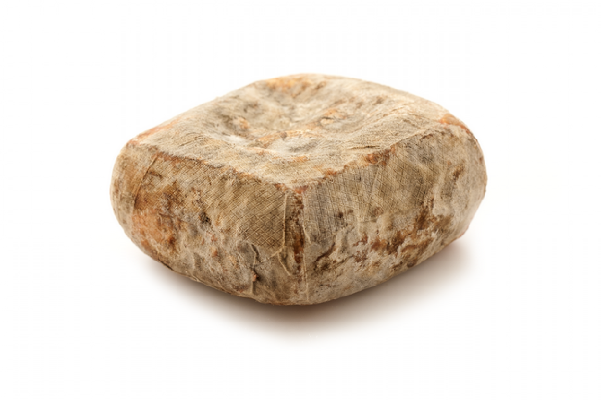 Cacio Fiore "Columella"