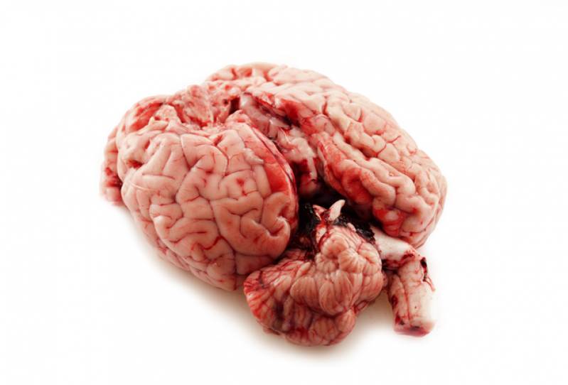Cervello di vitello
