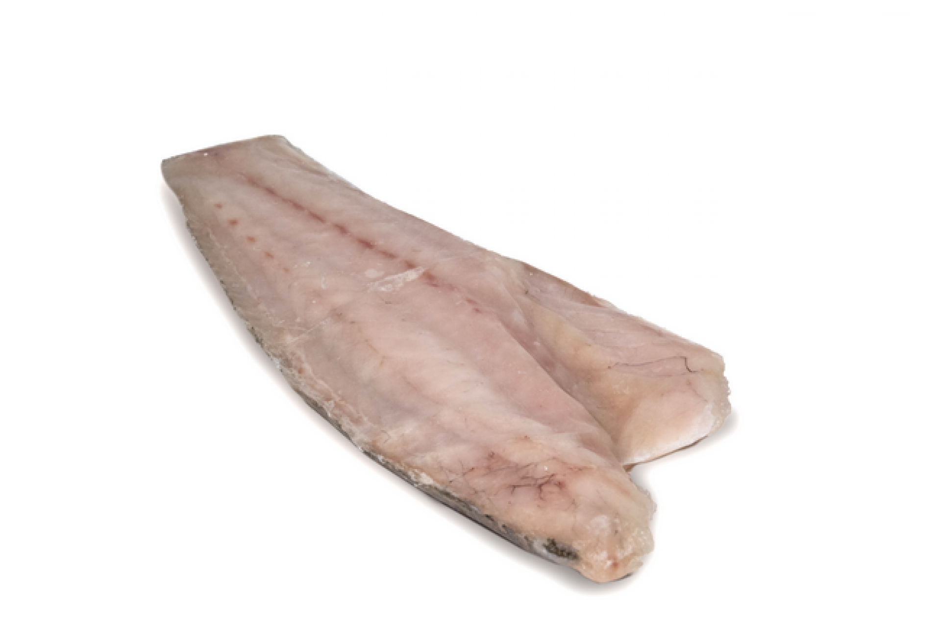 Ombrina sfilettata e abbattuta (2 filetti)