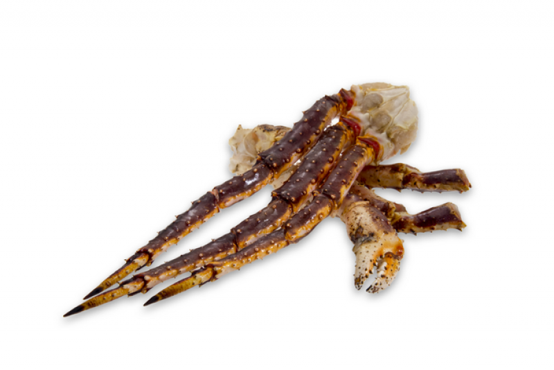 CHELE DI GRANCHIO “REALE” GELO