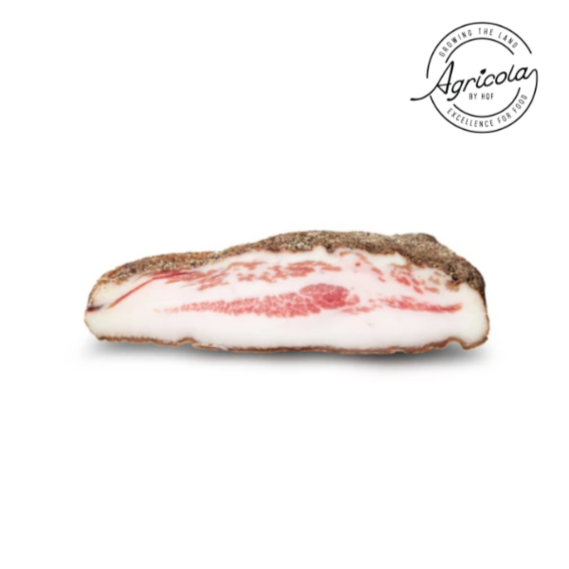 Guanciale stagionato 60 gg di filiera "Umbria" da 1,1/1.4 kg ca.