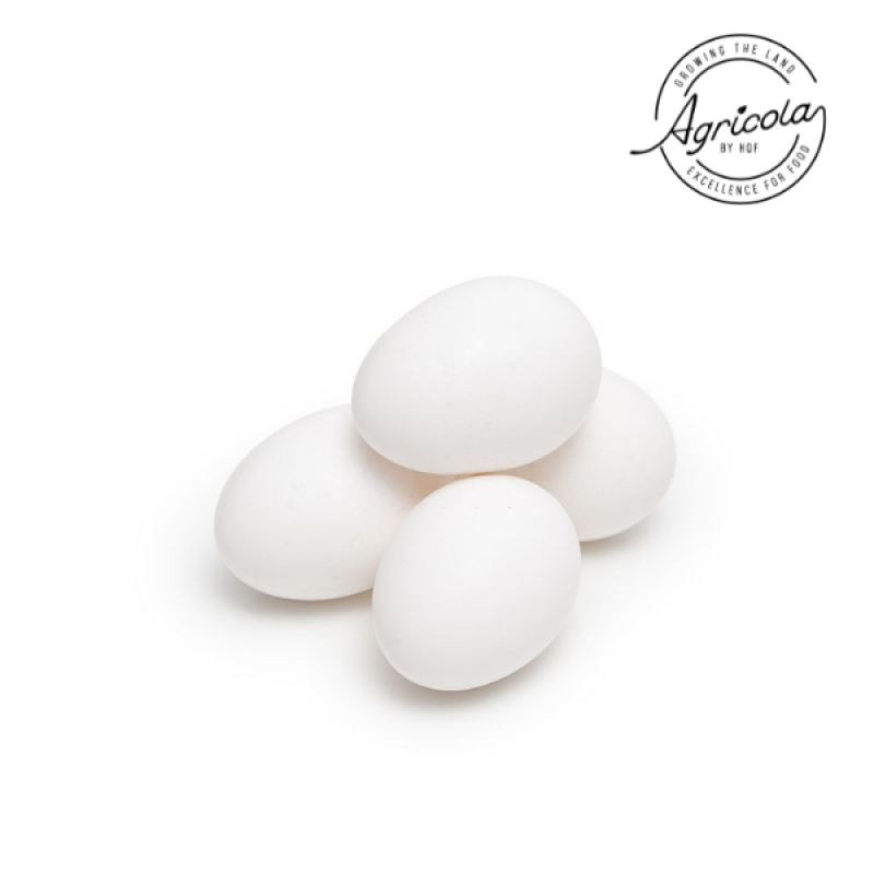 Uova fresche da allevamento bio. da gallina livornese allevata all'aperto "Ediz. limitata" x 4