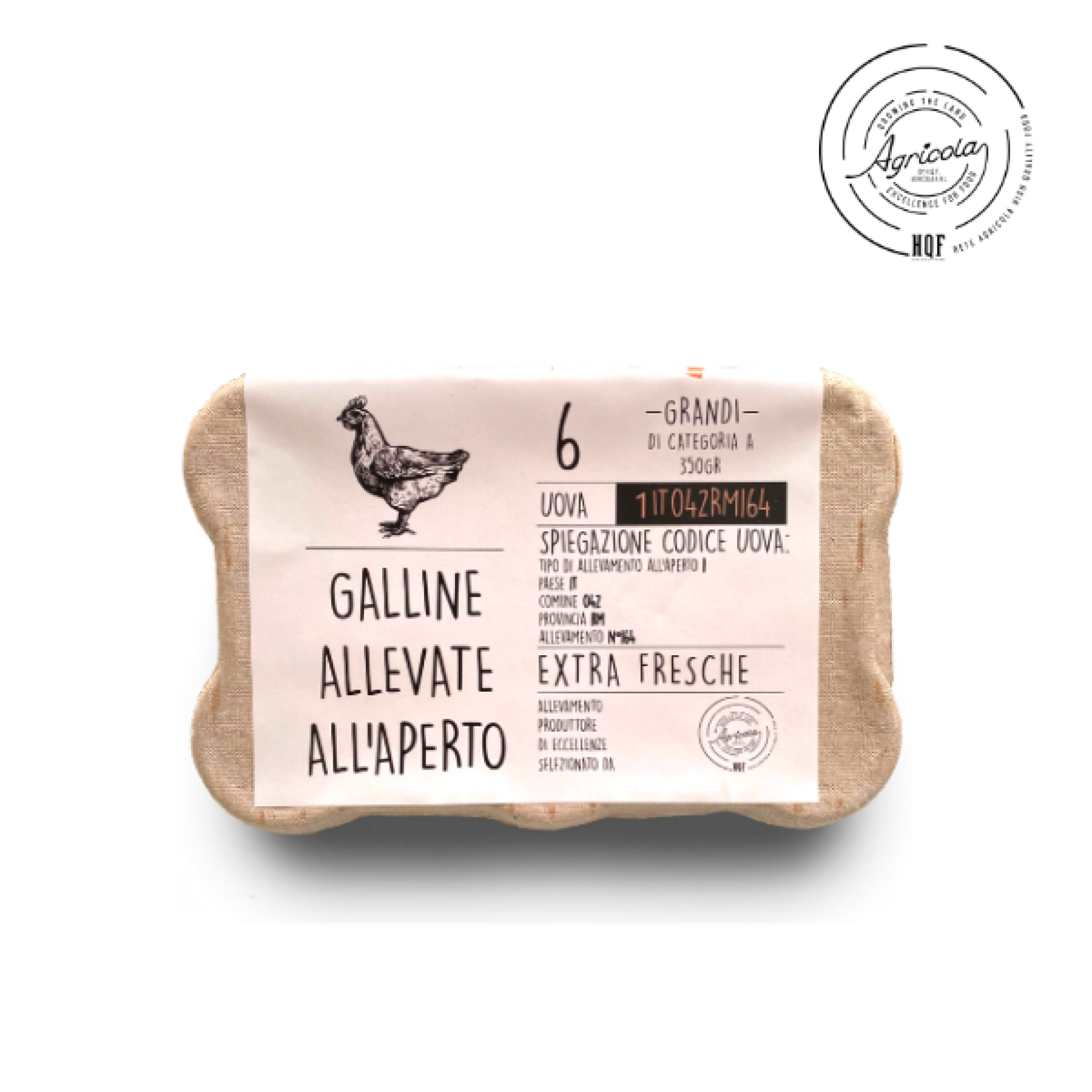 Uova fresche da gallina livornese "allevate all'aperto" Rete HQF Agricola  x 6 pz "Calib. Misto"