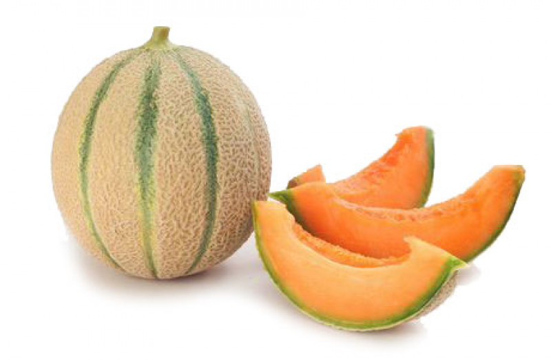 Melone retato