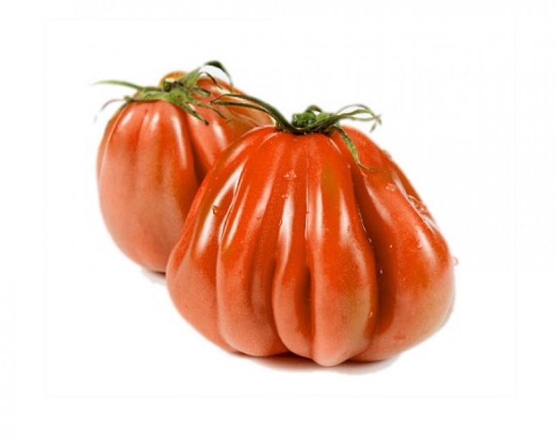Pomodoro cuore di bue vaschetta da 500 g. ca. x 8 pz