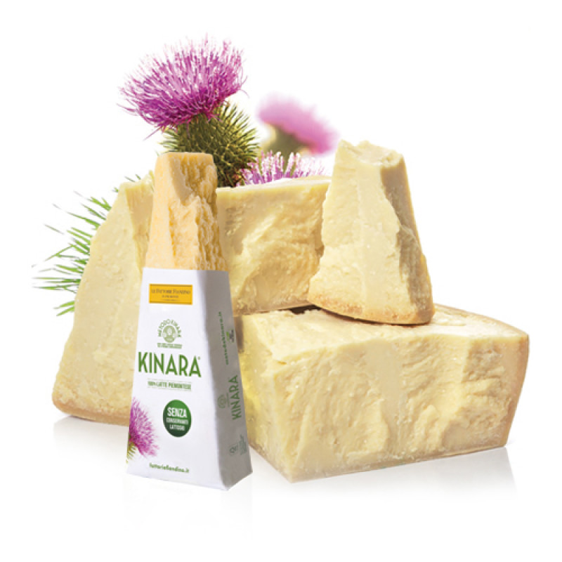 Formaggio a caglio vegetale Gran Kinara (forma intera)