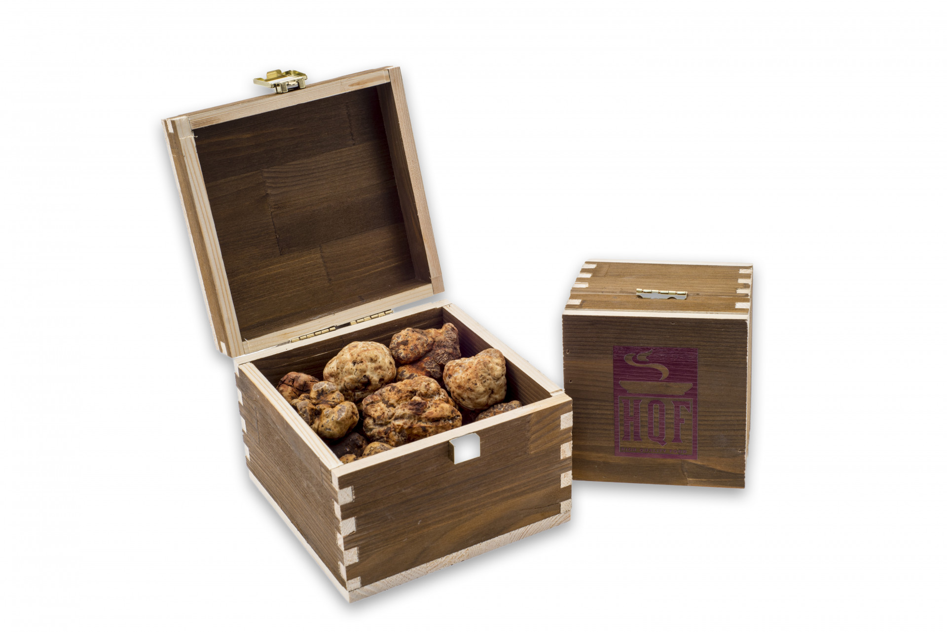 Tartufo bianco pregiato (TUBER MAGNATUM PICO) I CAT