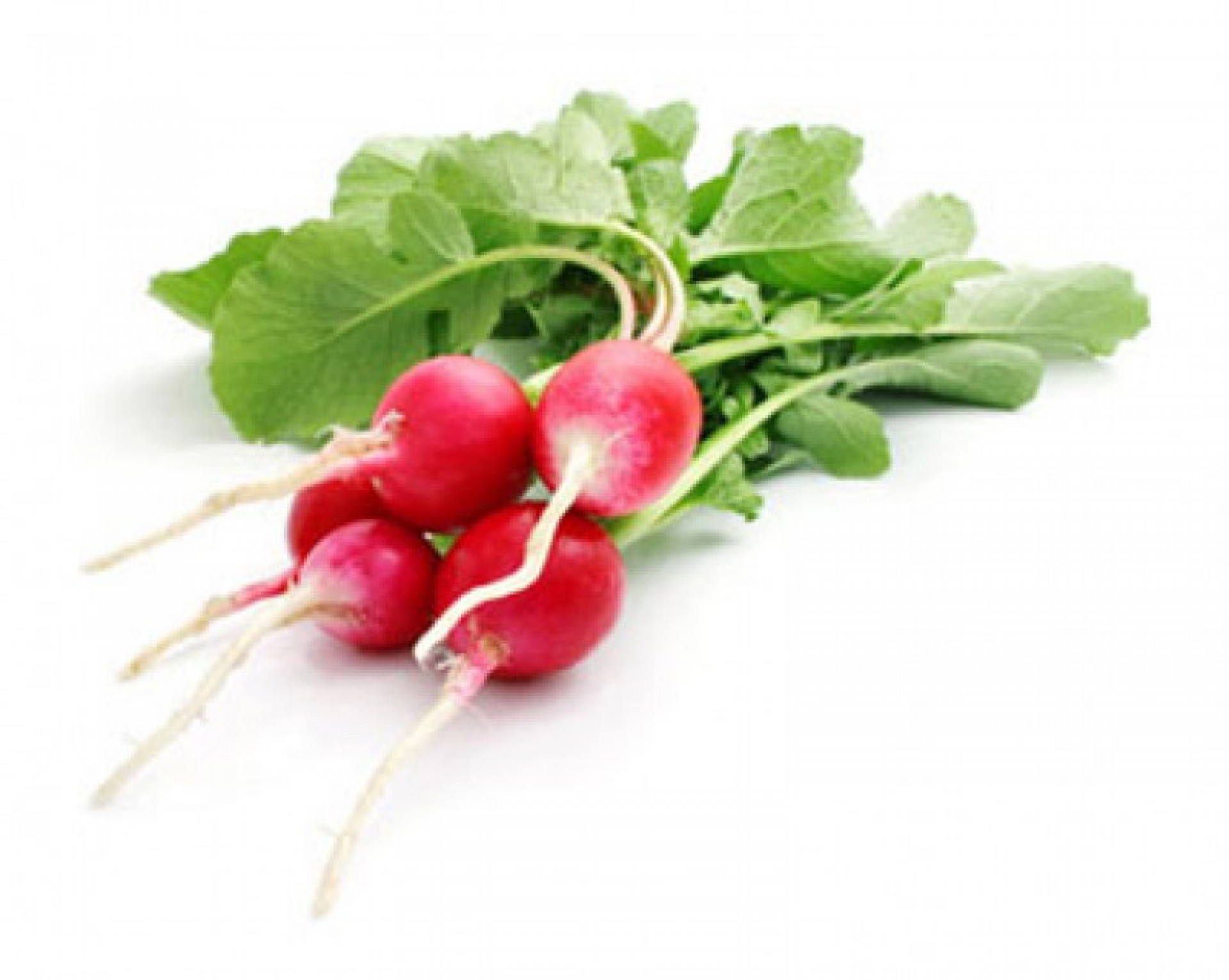 Ravanelli residuo zero