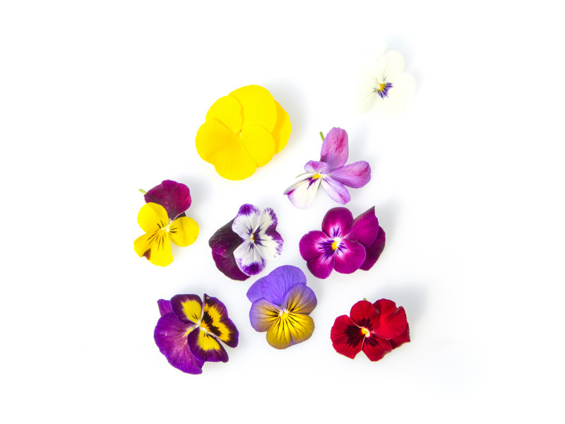 Fiori eduli mix 30 pz