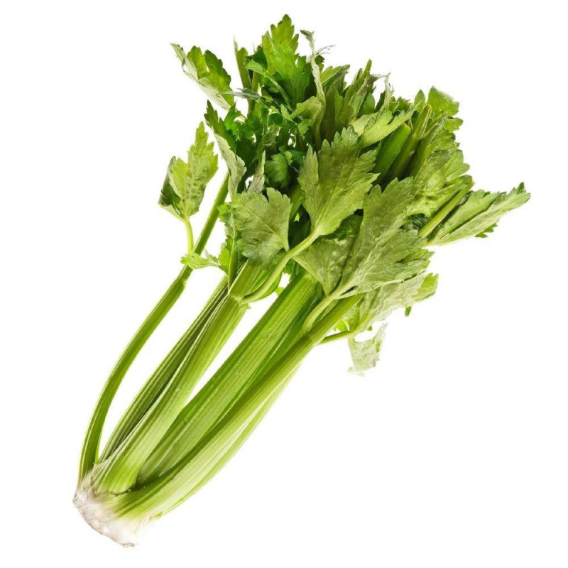 Sedano verde residuo zero