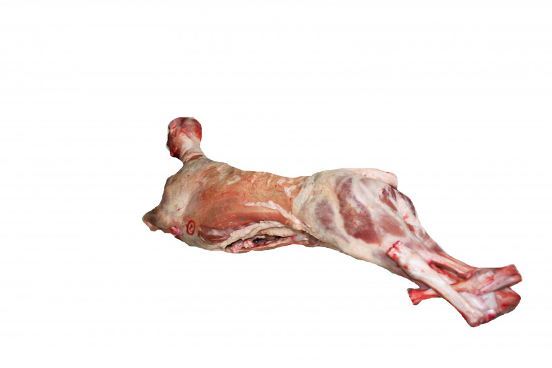Agnello della Murgia da latte