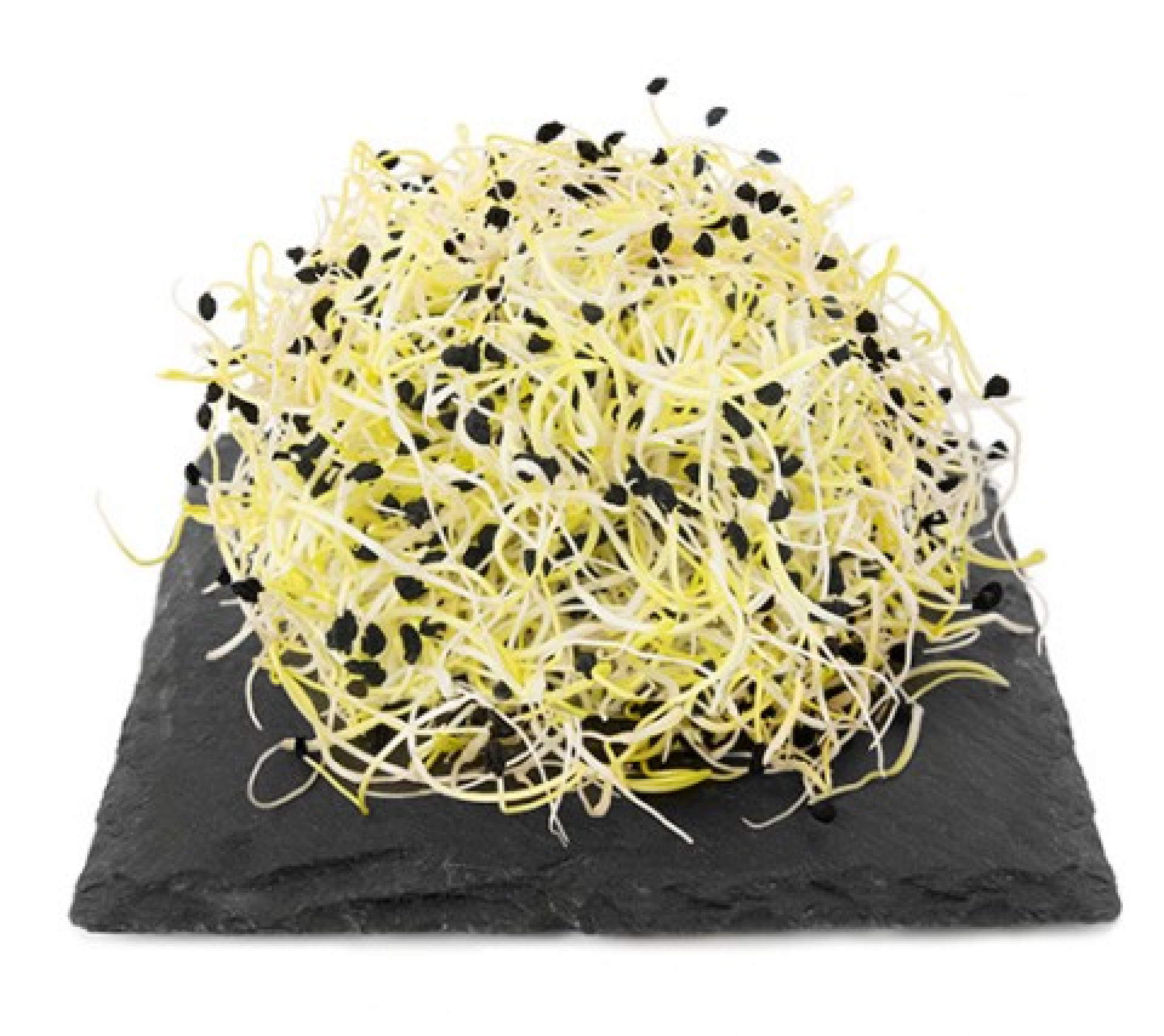 Crema di germogli di porro