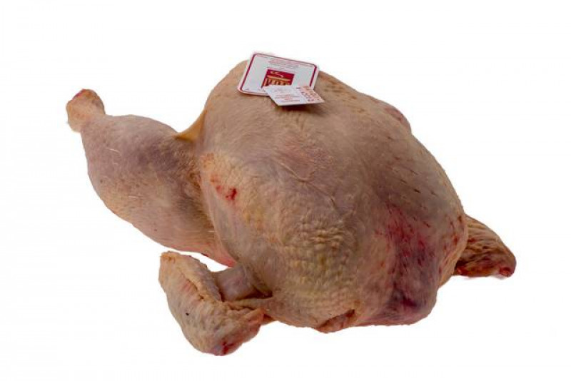 Pollo a busto allevato a terra