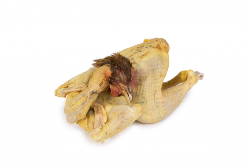 Pollo rosso nostrano (pelacollo)