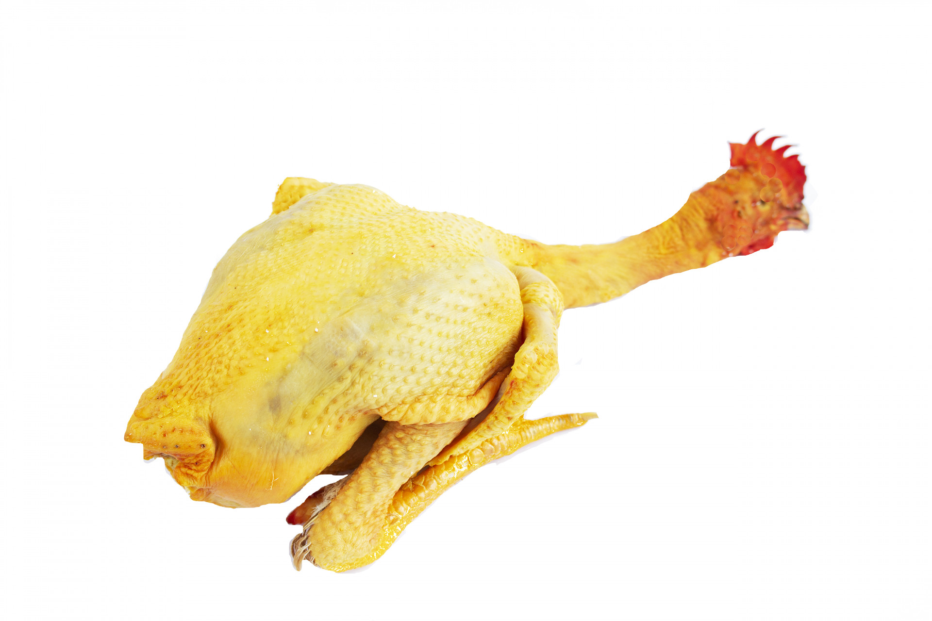 Pollo piemontese "Col fiocco"