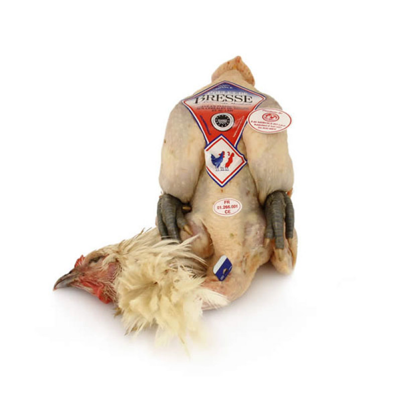 Pollo di Bresse AOC maschio