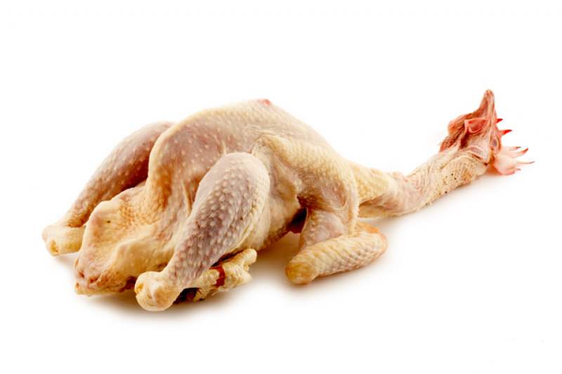 Gallina di Villanova allevata a terra