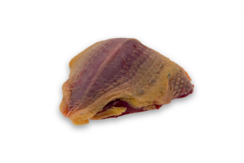 Petto di piccione fresco