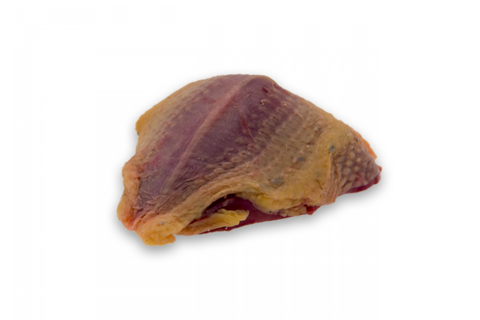 Petto di piccione fresco
