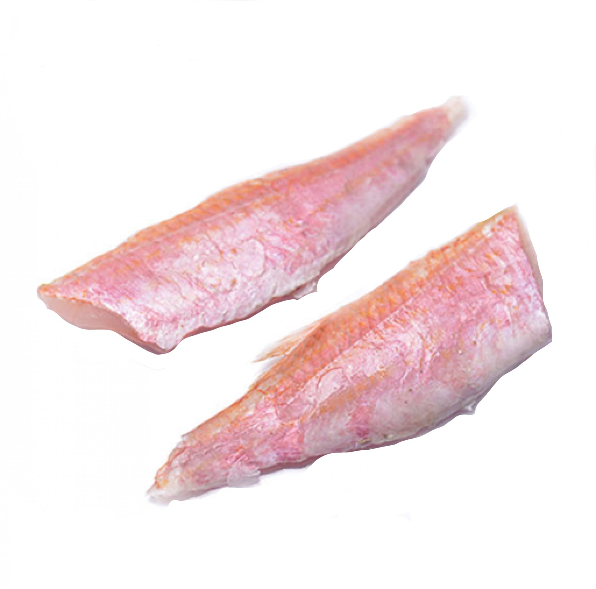 triglia sfilettata e abbattuta (20 filetti)